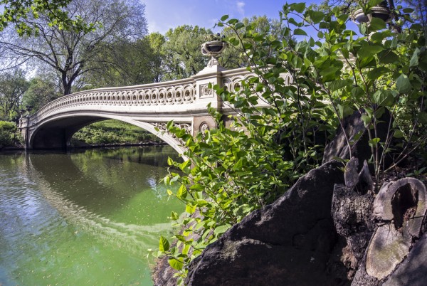 Central Park Bow Bridge