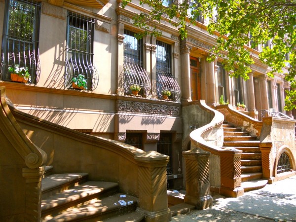 A sunlit brownstone townhouse in Harlem, New York features curved stairs, ornate railings, window flower boxes, and leafy tree shadows.