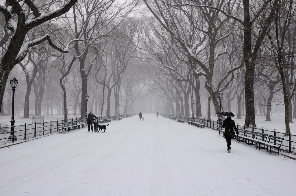 Central park in the snow by Ralph Hockens