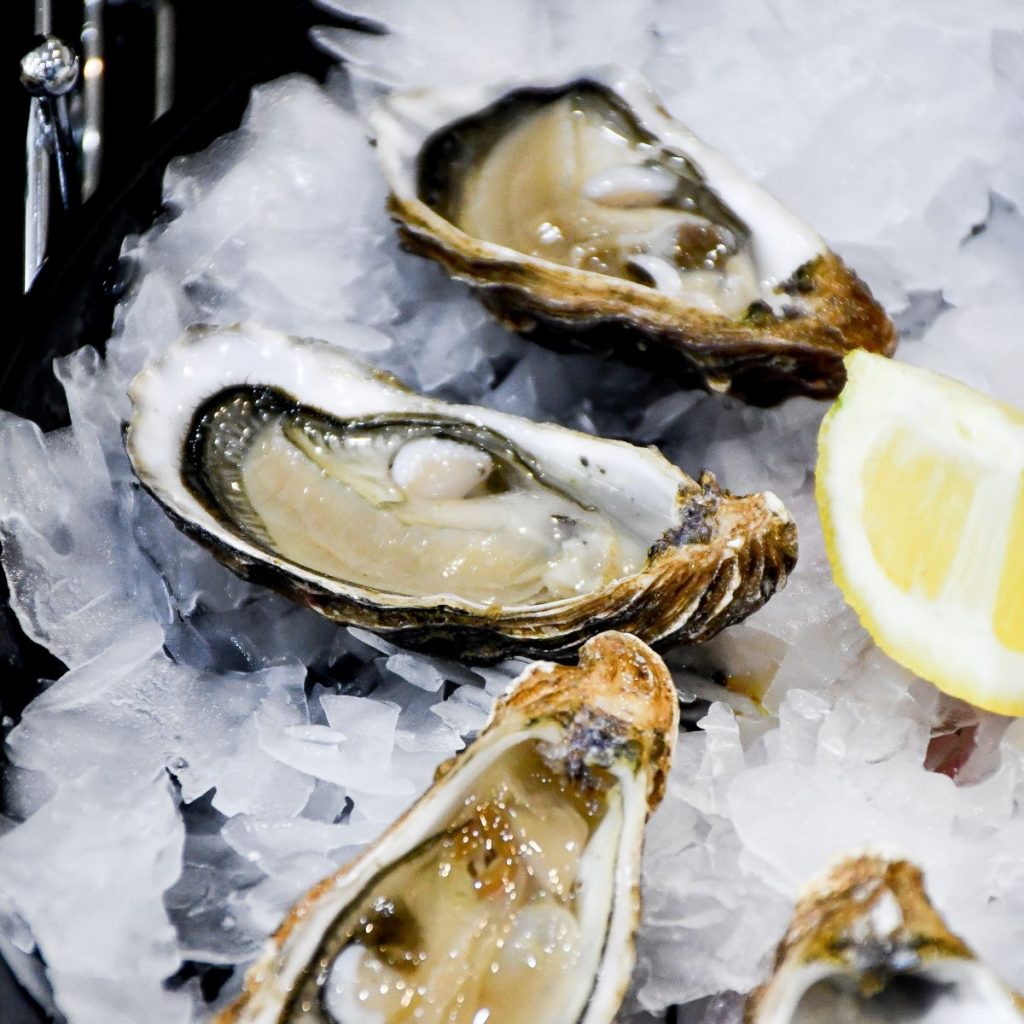 A plate of fresh oysters with a lemon wedge, from one of the best oyster bars in London