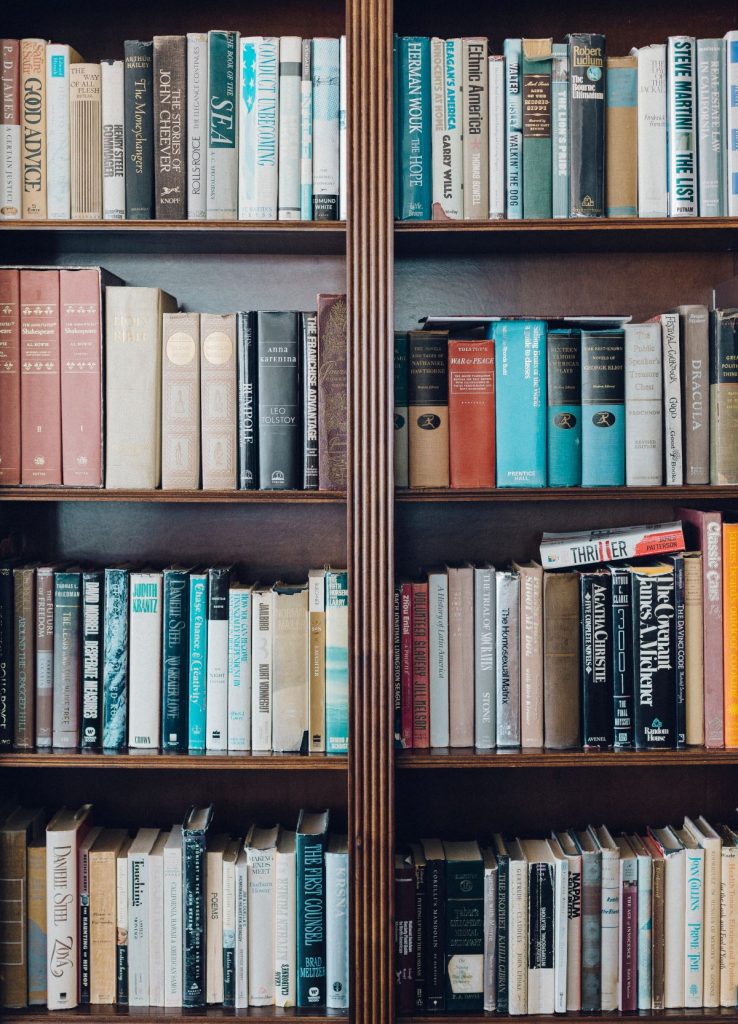 A wooden bookshelf in one of the best bookstores in Dublin holds three organized yet eclectic shelves of colorful, variously sized and stacked books.