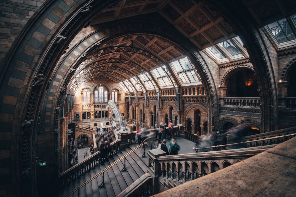 Main hall of The Natural History Museum, one of London's top museums. 