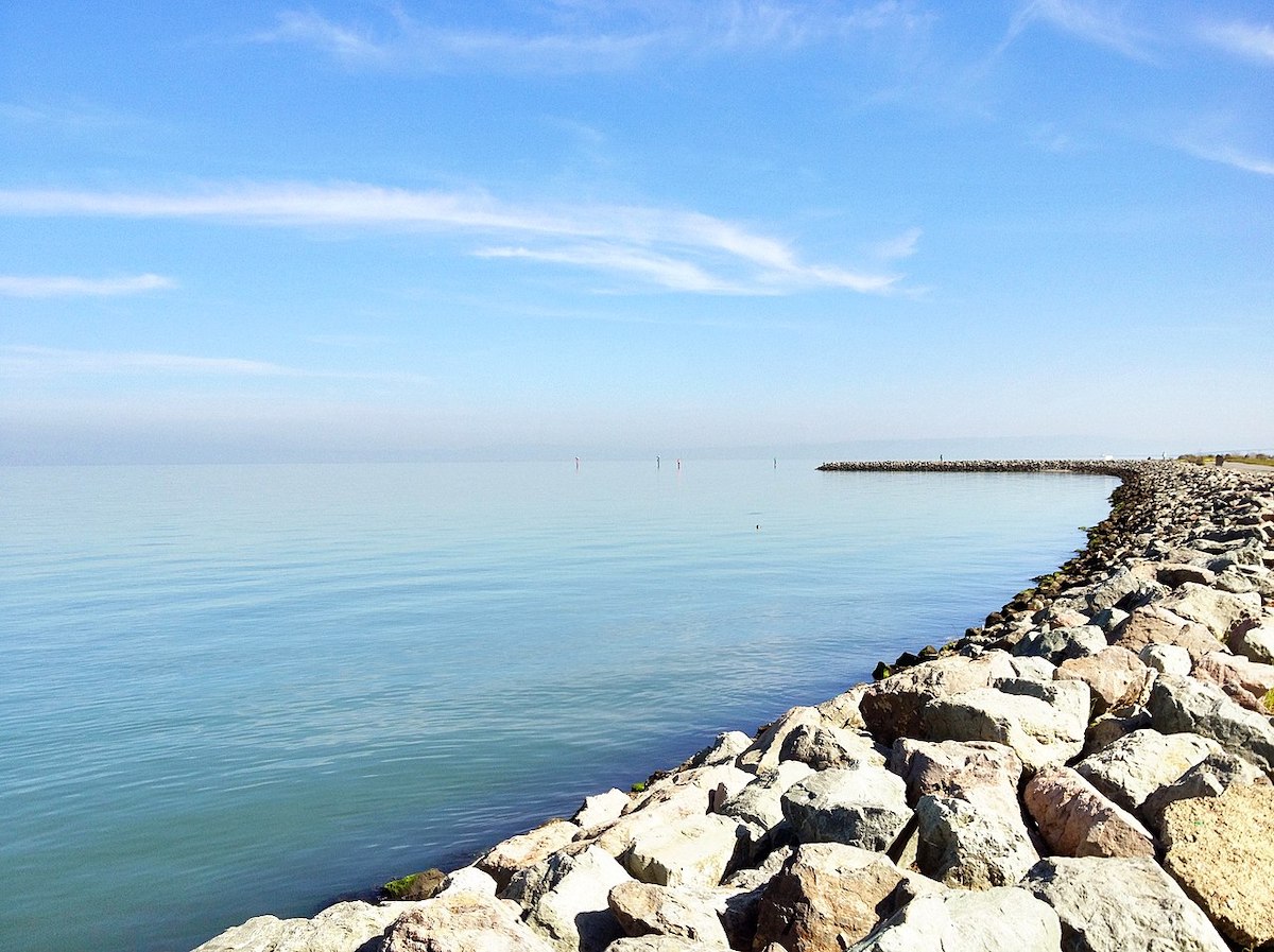 Coyote Point Beach