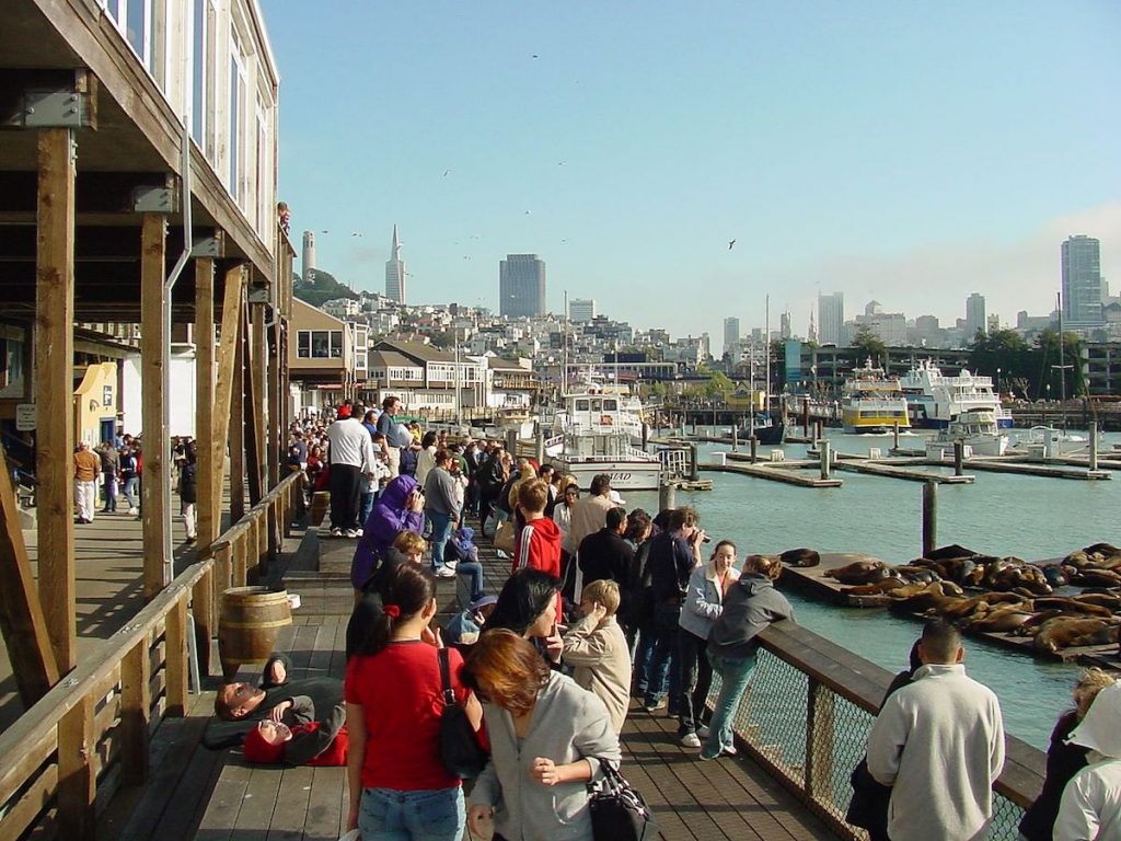 A group of people watch sea lions lounging on floating docks at San Francisco’s Pier 39, with boats and city skyline. one of the unique things to do in San Francisco