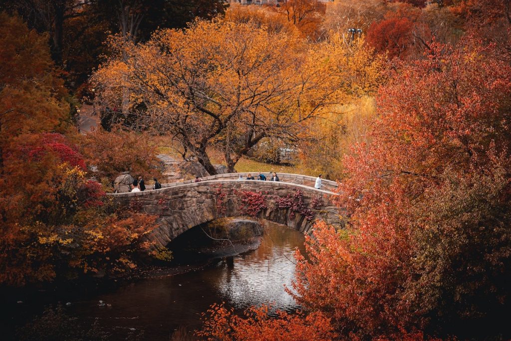 Several people cross Central Park’s iconic Gapstow Bridge, framed by vivid orange, red, and yellow autumn trees reflecting off the river.