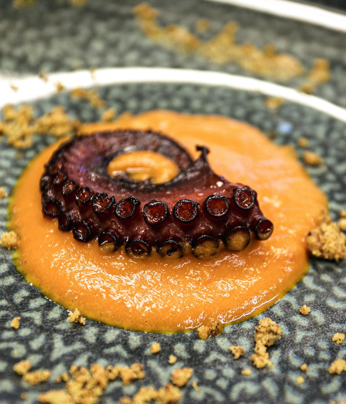 A cooked octopus tentacle rests on orange sauce with crumbled garnish, artfully arranged on a textured gray plate near Montserrat, Spain.