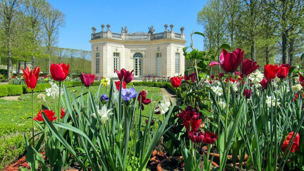 Bright tulips and flowers bloom in a formal Versailles garden, bordered by manicured hedges, near a classical pavilion under clear skies.