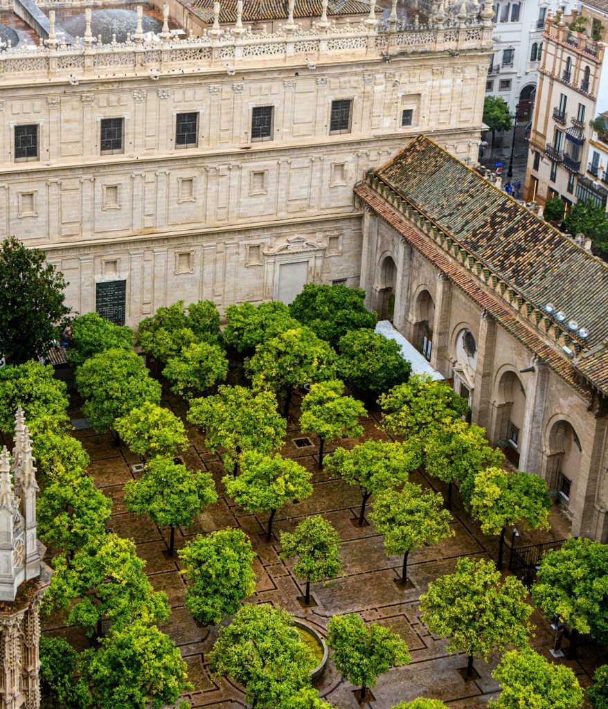 An aerial view shows the Patio de los Naranjos in Seville, lined with orange trees and surrounded by ornate stone buildings.